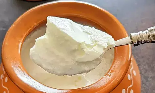 Wrong food combination: Do not consume these things with curd; it can harm your health