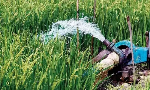 Bihar Government Constructs Gated Weir on Sugarve River to Boost Irrigation