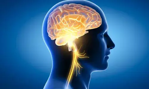 Is your memory weakening? Boost your brain health with these superfoods