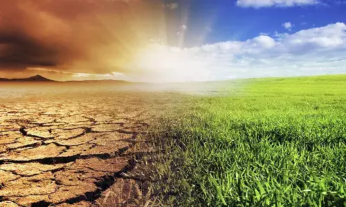 Bihar Charts Ambitious Green Path: State Approves Climate Action Plan for 2030 & 2050
