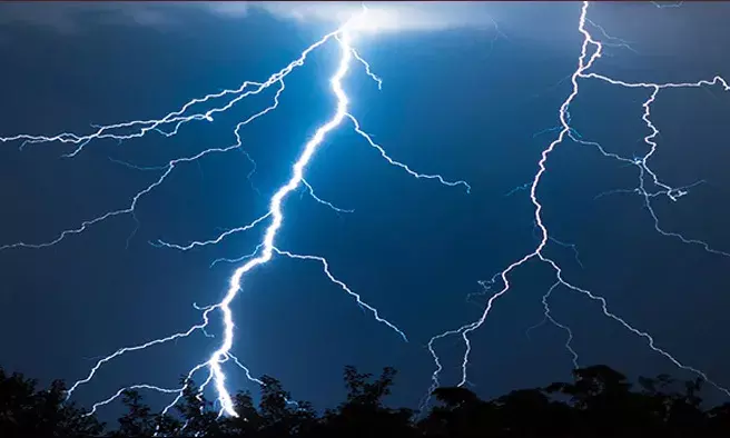 CM Nitish Kumar Offers Condolences for 13 Lightning Death Victims Across Four Districts CM Nitish Kumar Offers Condolences for 13 Lightning Death Victims Across Four Districts