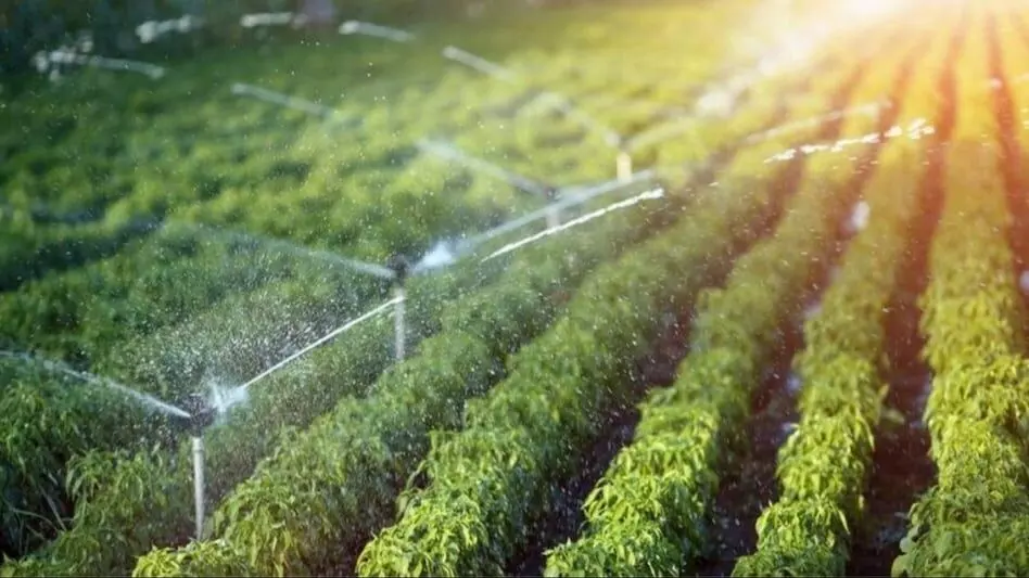 Bihar Extends Free Electricity Connection Scheme for Farmers Until September Bihar Extends Free Electricity Connection Scheme for Farmers Until September