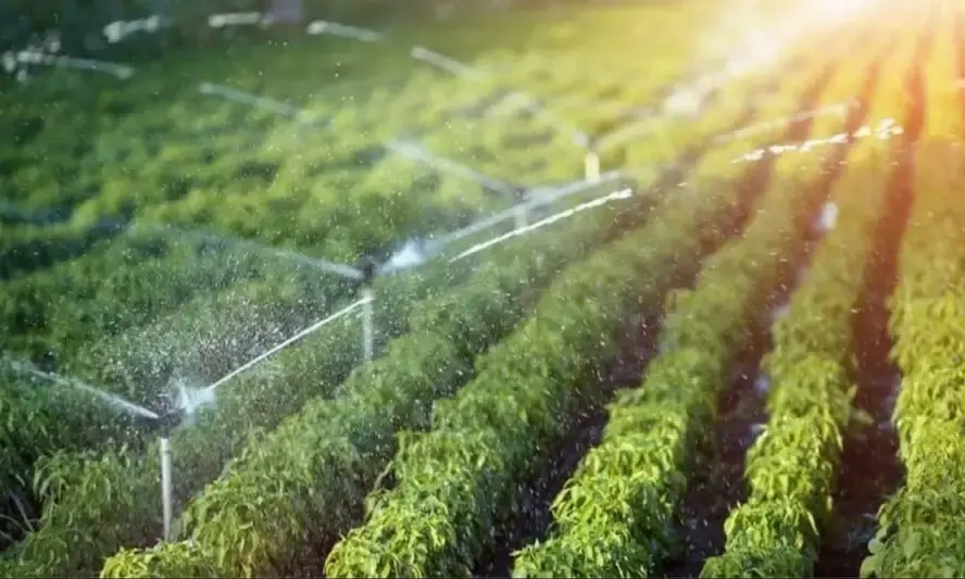 Bihar Extends Free Electricity Connection Scheme for Farmers Until September Bihar Extends Free Electricity Connection Scheme for Farmers Until September