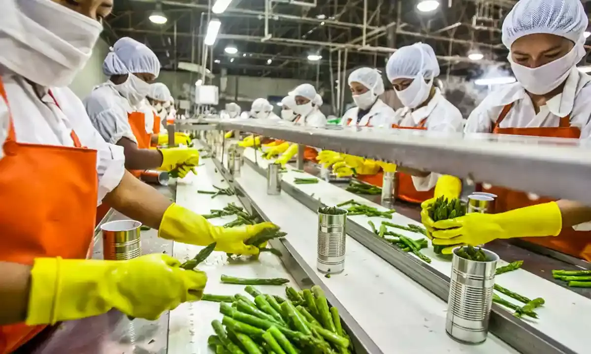 Bihar Ranks First in Nation for Implementing Prime Ministers Food Processing Scheme Bihar Ranks First in Nation for Implementing Prime Ministers Food Processing Scheme