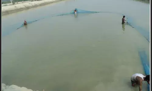 Bihar Fisheries Director Issues Crucial Guidance for Fish Farmers During Critical April Season
