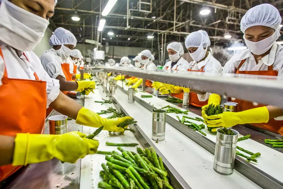 Bihar Ranks First in Nation for Implementing Prime Ministers Food Processing Scheme