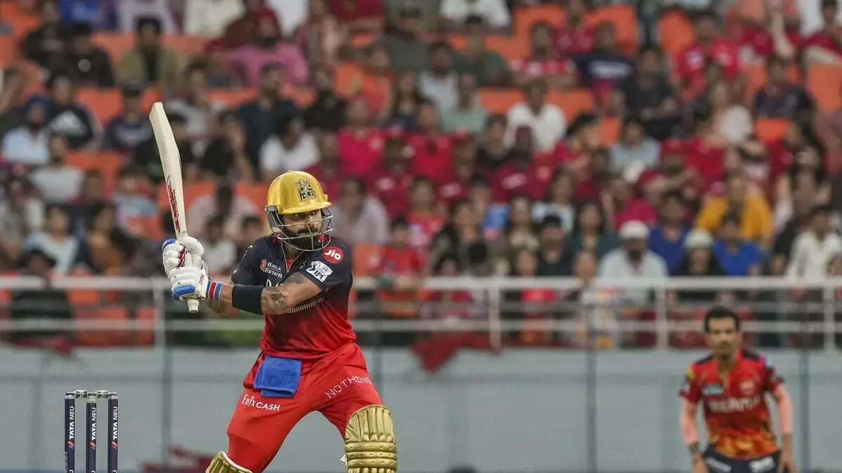 Virat Kohlis Stellar Performance in IPL 2025: A Statistical Breakdown Virat Kohlis Stellar Performance in IPL 2025: A Statistical Breakdown