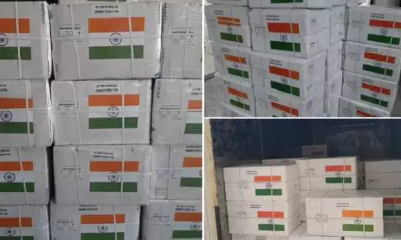 India Provides $2 Million in Medical Aid to Nepal for Thalassemia and Sickle Cell Patients