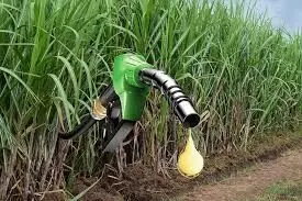 Bihar Extends Biofuel Policy to 2027, Offers Land in Industrial Areas for Biogas Plants