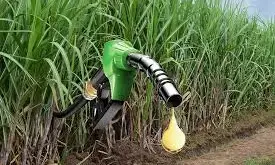 Bihar Extends Biofuel Policy to 2027, Offers Land in Industrial Areas for Biogas Plants