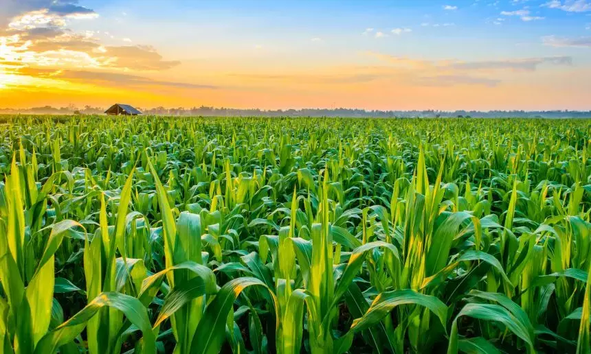 Bihar Cooperative Minister Launches ₹32.83 Crore Crop Assistance Payment to Over 40,000 Farmers