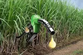 Bihar Extends Biofuel Policy to 2027, Offers Land in Industrial Areas for Biogas Plants