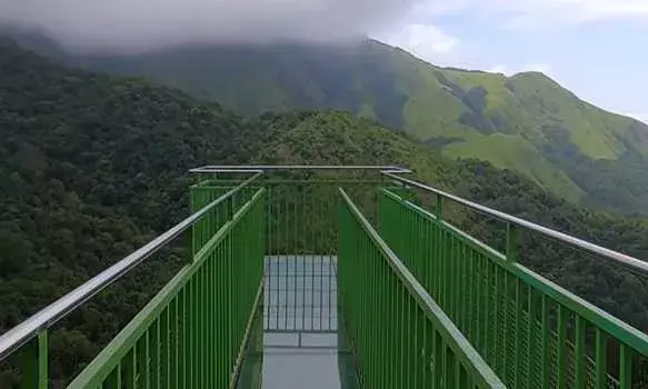 Tourist Killed as Resort Tent Collapses During Heavy Rain in Kerala