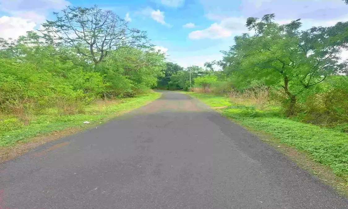 Bihar Achieves All-Weather Road Connectivity to 119,816 Rural Settlements