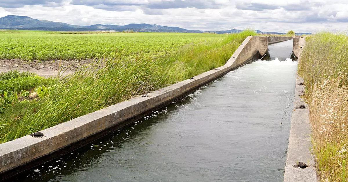 Bihar Secures ₹4,415 Crore World Bank Project for Water Security and Irrigation Modernization Bihar Secures ₹4,415 Crore World Bank Project for Water Security and Irrigation Modernization