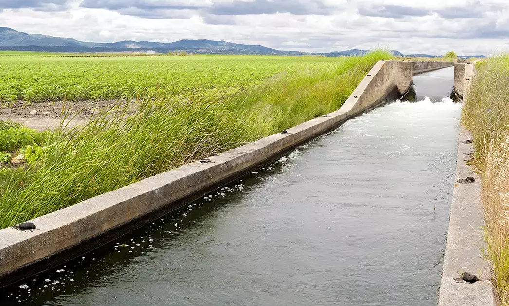 Bihar Secures ₹4,415 Crore World Bank Project for Water Security and Irrigation Modernization