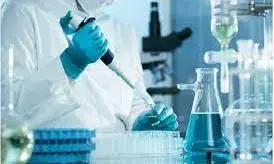 Pakistani Student Jailed for Seeking Bomb-Making Info on Social Media