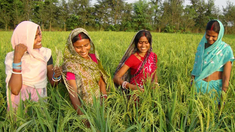Bihars PACS Common Service Centers Generate Over Rs 4.5 Crore Business, Provide 300+ Rural Services Bihars PACS Common Service Centers Generate Over Rs 4.5 Crore Business, Provide 300+ Rural Services