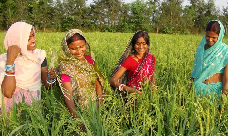 Bihars PACS Common Service Centers Generate Over Rs 4.5 Crore Business, Provide 300+ Rural Services