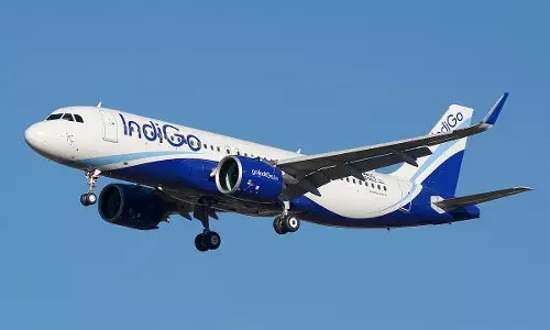 IndiGo Flight to Ranchi Makes Emergency Landing After Vulture Strike, Aircraft Sustains Damage
