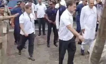 BJP Slams Rahul Gandhi for Paying Tribute to Indira Gandhi While Wearing Shoes