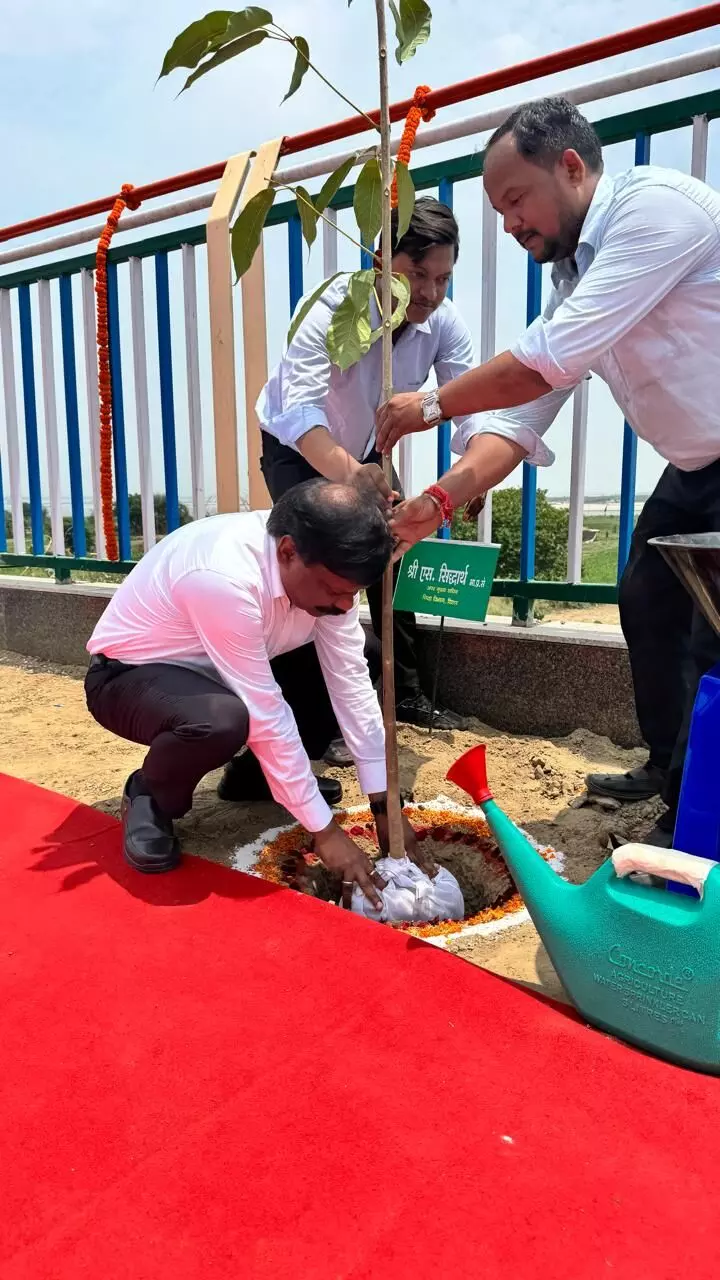 Bihar Education Secretary Plants Tree on World Environment Day, Urges Schools to Go Green Bihar Education Secretary Plants Tree on World Environment Day, Urges Schools to Go Green