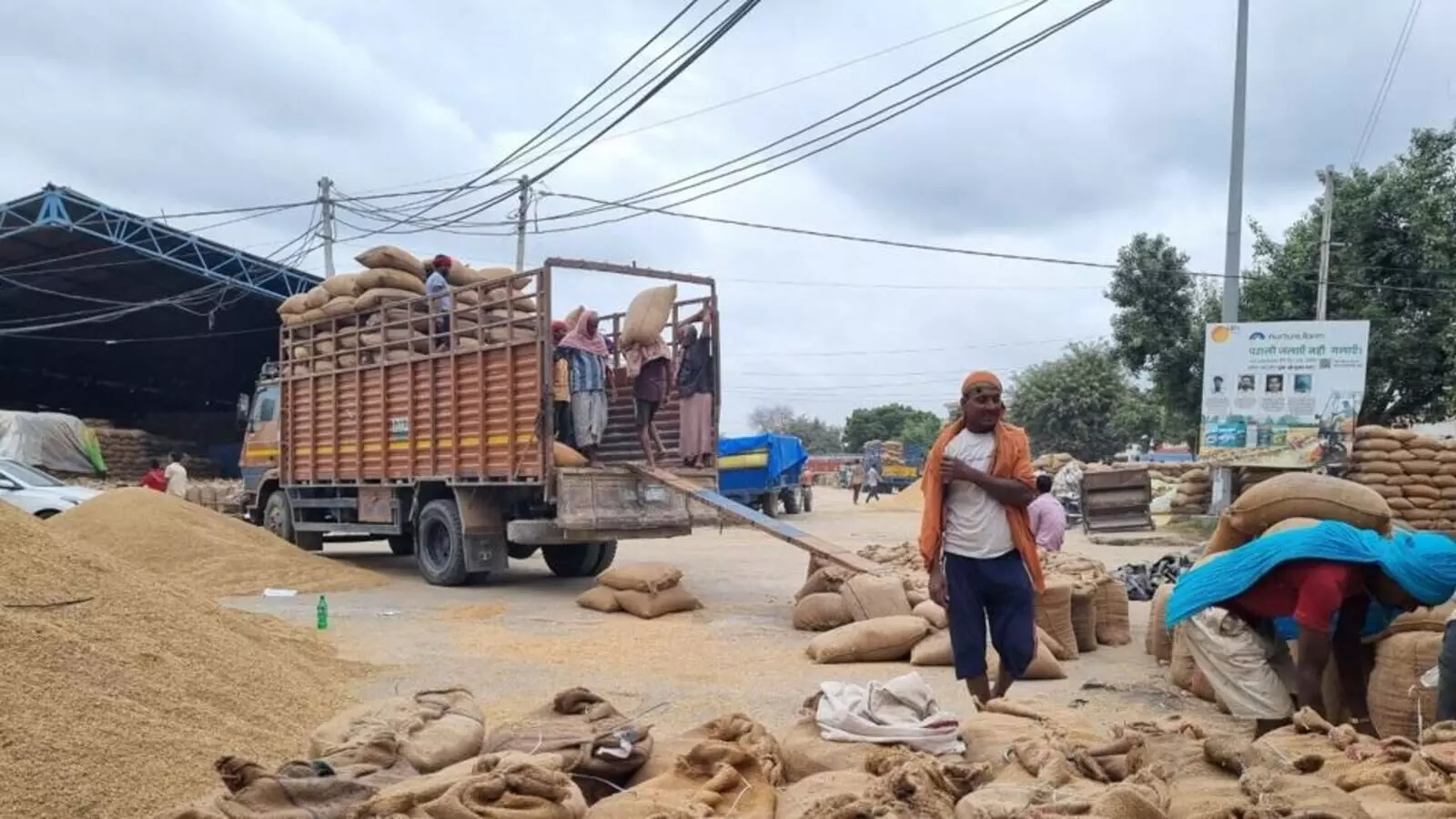 Bihar Food Department Orders Physical Verification of Remaining Paddy to Meet CMR Target by June 15 Bihar Food Department Orders Physical Verification of Remaining Paddy to Meet CMR Target by June 15