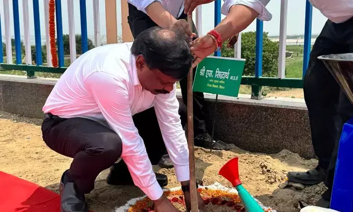 Bihar Education Secretary Plants Tree on World Environment Day, Urges Schools to Go Green