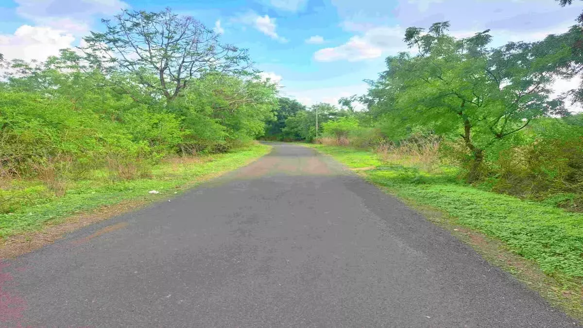 Bihars Rs 1.25 Lakh Crore Development Package Nears Completion with 44 Road Projects Finished