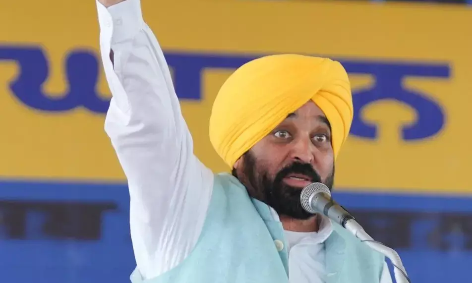 Punjab CM Bhagwant Singh Mann Claims All Tehsils Moving Towards Corruption-Free Status