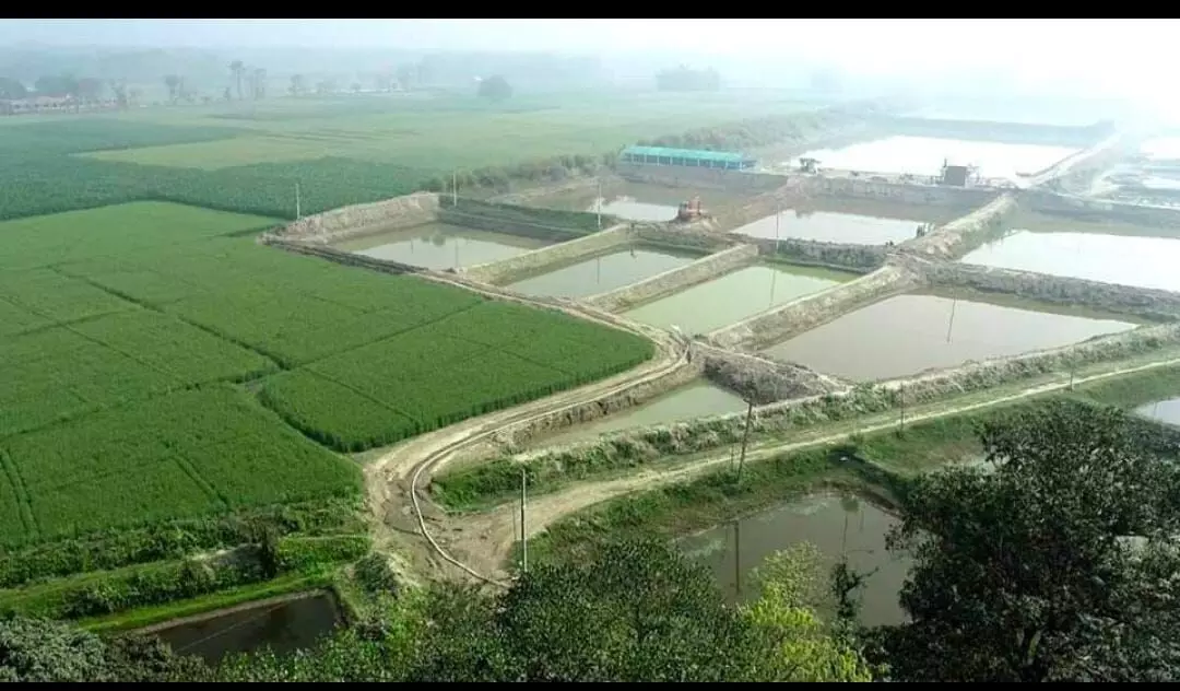 Bihar Promotes Fish-Based Integrated Aquaculture with Up to 70% Subsidy for Chawr Land Development Bihar Promotes Fish-Based Integrated Aquaculture with Up to 70% Subsidy for Chawr Land Development