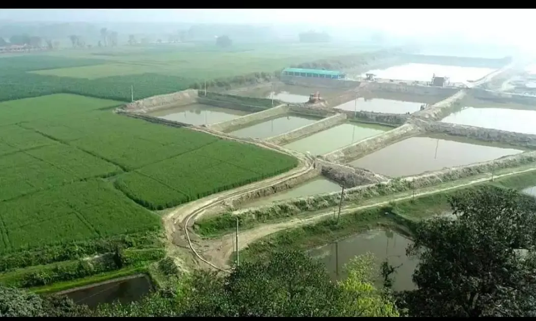 Bihar Promotes Fish-Based Integrated Aquaculture with Up to 70% Subsidy for Chawr Land Development
