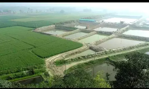 Bihar Promotes Fish-Based Integrated Aquaculture with Up to 70% Subsidy for Chawr Land Development