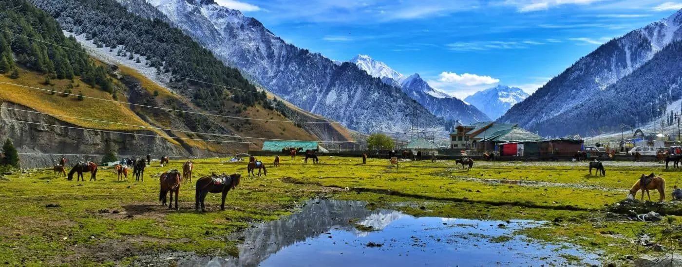 J&K Lieutenant Governor Orders Phased Reopening of Tourist Destinations from June 17 J&K Lieutenant Governor Orders Phased Reopening of Tourist Destinations from June 17