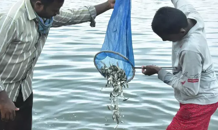 Bihar Launches Pond Fisheries Special Assistance Scheme with 70% Grant Support