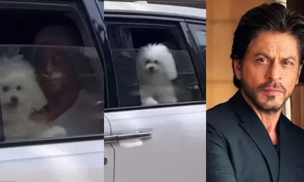 Shah Rukh Khans Adorable Dog Steals the Spotlight During Their Drive Through Mumbai