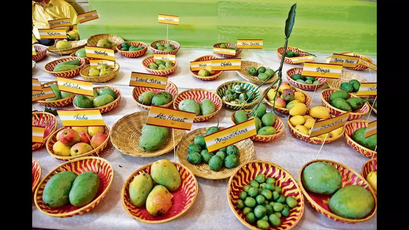 Bihars "Mango Festival-2025" Set for June 28-29 with Free Entry and Competitions Bihars "Mango Festival-2025" Set for June 28-29 with Free Entry and Competitions