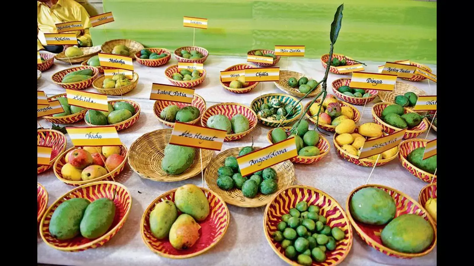 Bihars Mango Festival-2025 Set for June 28-29 with Free Entry and Competitions