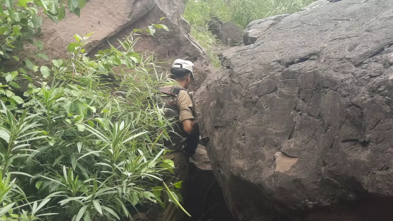 Search underway in Udhampur to track 3 JeM terrorists; one killed in encounter
