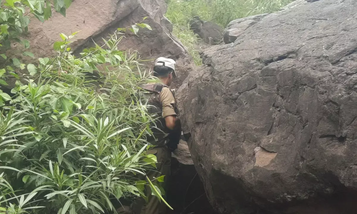 Search underway in Udhampur to track 3 JeM terrorists; one killed in encounter