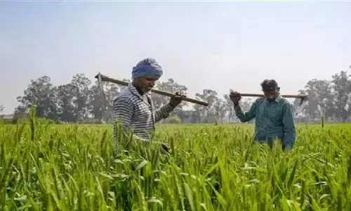 Bihar Launches Special Fisheries Scheme for SC/ST Farmers in 8 Plateau Districts