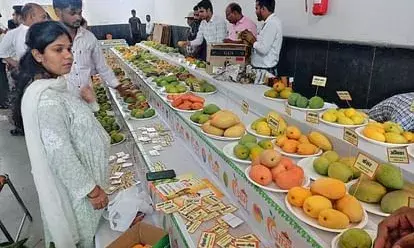 UP Mango Festival: Deputy CM Brajesh Pathak Bats for Modern Tech, Market Access to Boost Farmer Income