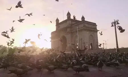 Mumbai to Shut All 51 Kabootar Khanas: Heres Why the State Stepped In