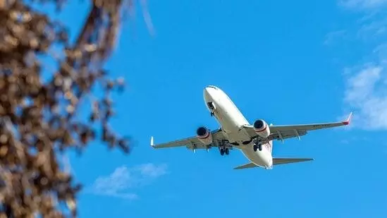 Tragedy in the Skies: The An-24 Passenger Plane Crash in Russia