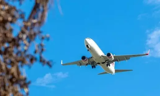 Tragedy in the Skies: The An-24 Passenger Plane Crash in Russia