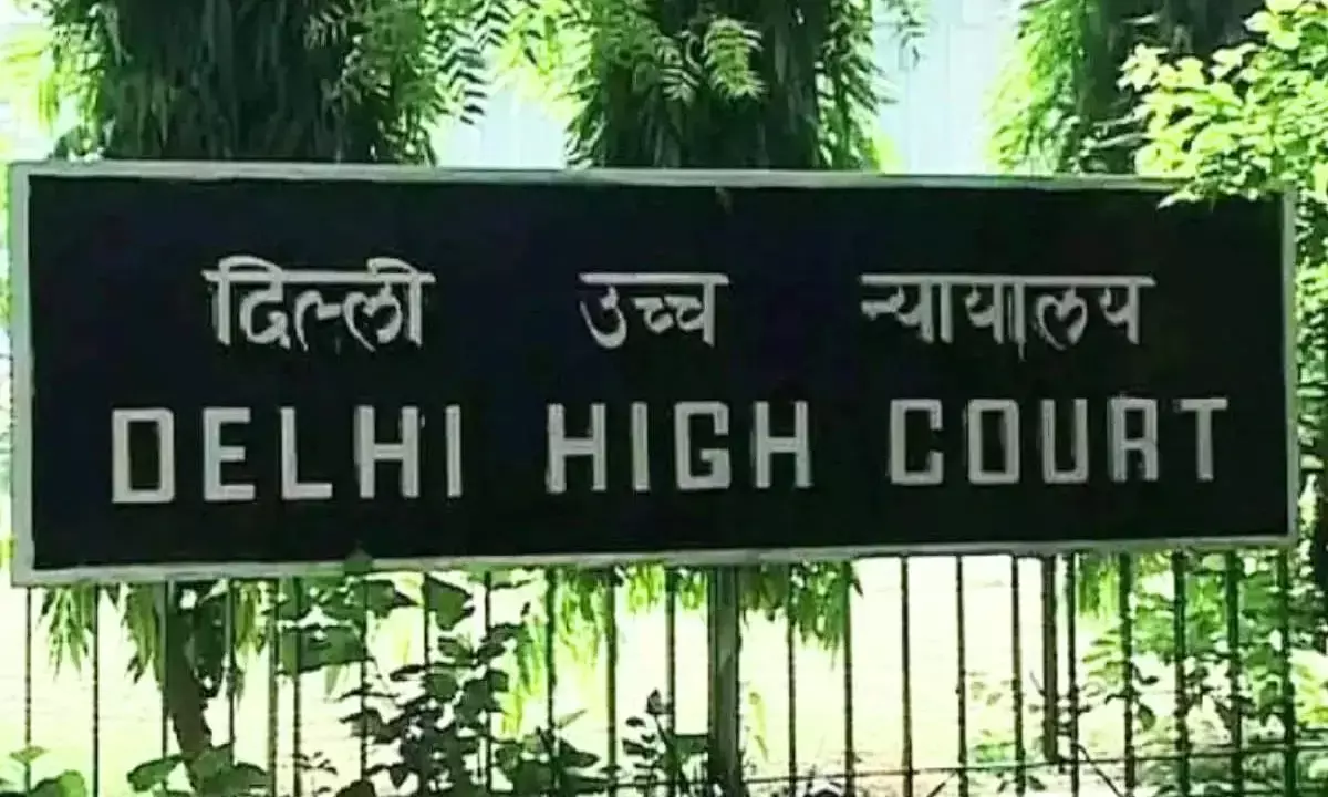 Walk the Extra Mile: Delhi High Court Slams Authorities over Failing One Stop Centres