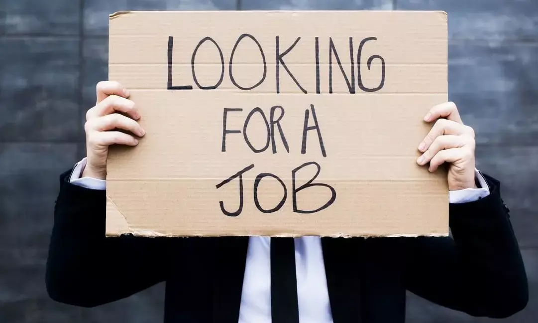 From 35 to 21 Lakh in 30 Days: The Vanishing Jobless and Assam’s Vanishing Hope