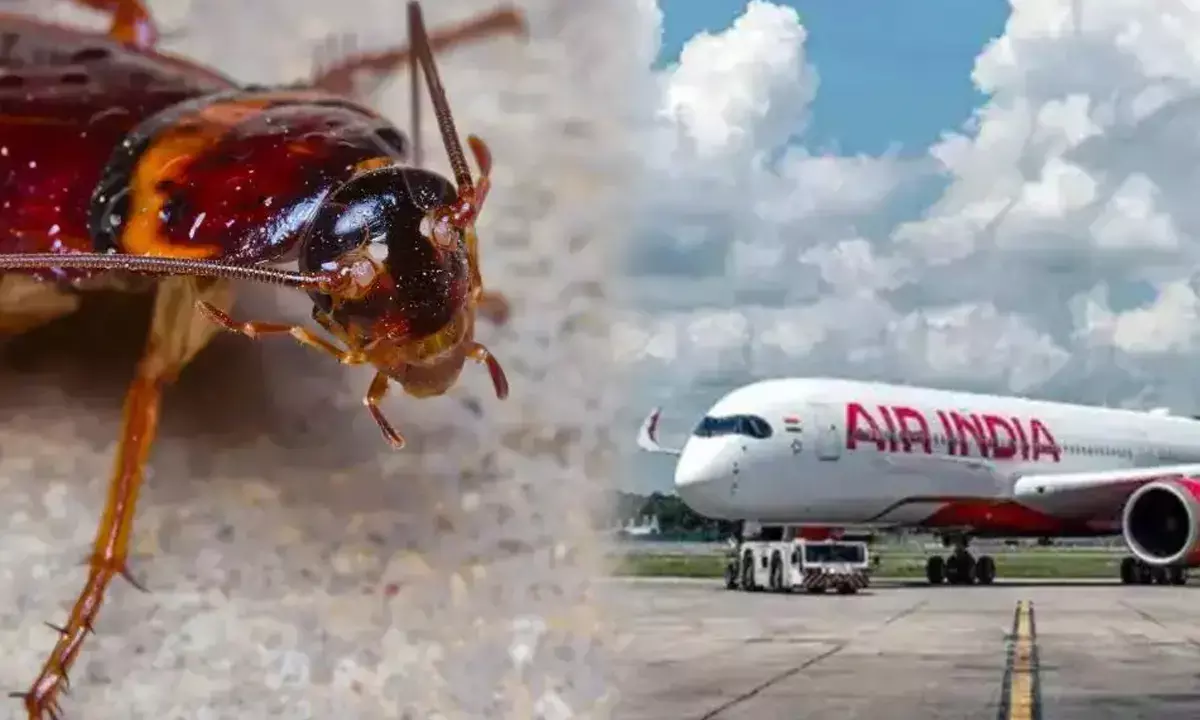 Cockroach Sighting on Air India Flight Prompts Passenger Relocation and Deep Cleaning