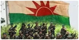 Sulfa Package or Poll Package? The ₹900-Crore Question in Assam’s Peace Politics