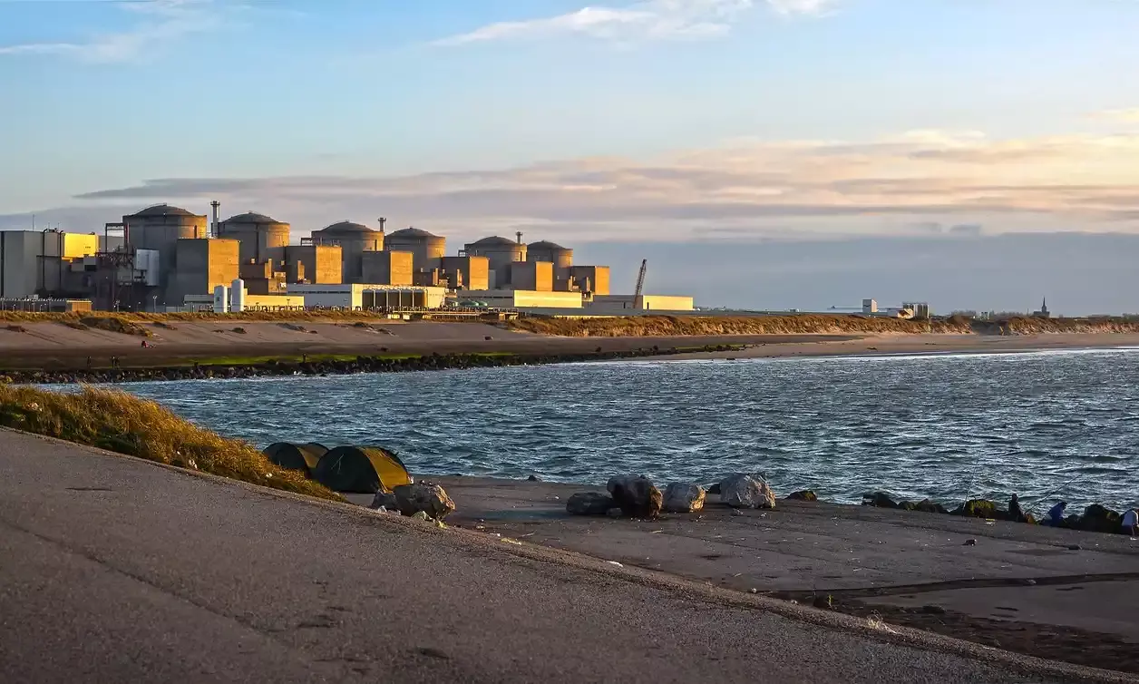 Jellyfish Swarm Shuts Down French Nuclear Plant Amid Rising Sea Temperatures